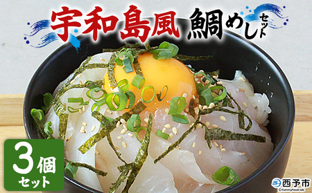 ＜愛媛の鯛めし（宇和島風）3個セット＞ 愛媛の鯛めし 鯛 真鯛 まだい マダイ 天然真鯛 郷土料理 丼 ごはん 魚介 海の幸 海鮮 YNコーポレーション 愛媛県 西予市【冷凍】『1か月以内に順次出荷』OYN0005