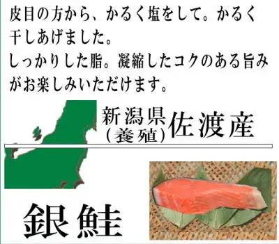 佐渡産ふっくら銀鮭 8切 鮭