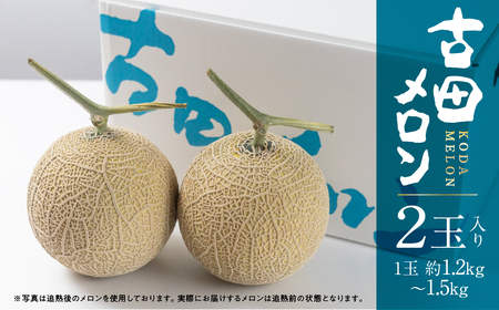 《先行予約》純系古田メロン2玉 メロン 石井農園
