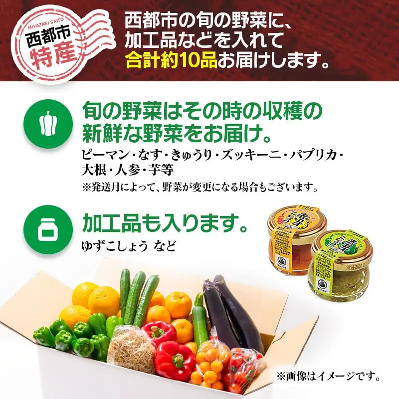 【5ヶ月定期便】西都市旬の特産詰め合わせセット 野菜・マンゴー・スイートコーン等＜32-5a＞野菜 フルーツ