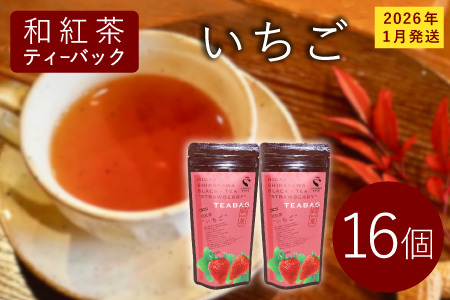 和紅茶ティーバッグ いちご 8個×2袋 東白川村産 岐阜県産 和紅茶 紅茶 ティー ティーバッグ お茶 ティーバック ティーパック ホット アイス おためし お試し 【先行受付品/2026年1月発送予定】