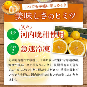 S162-003_冷凍河内晩柑ジュース(果汁100％)
