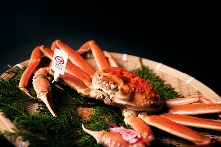 【マルツPREMIUM】活〆ボイル松葉蟹 冷蔵　「老舗 蟹専門店マルツ」