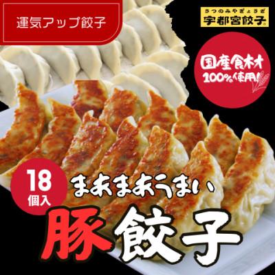ふるさと納税 宇都宮市 宇都宮餃子 運気アップ餃子　まあまあウマイ餃子18個　保存料不使用