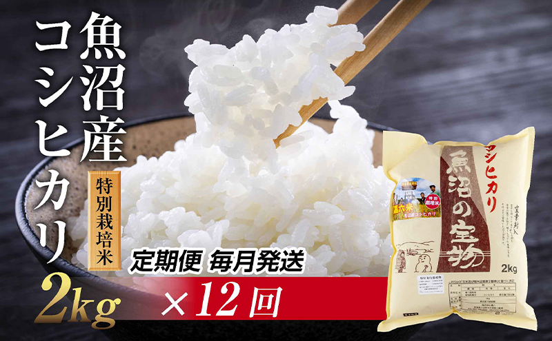 【定期便 毎月発送 12回】魚沼産 コシヒカリ 2kg   魚沼の宝物 嘉六 農家のこだわり 新潟県 十日町市 こしひかり お米 こめ 白米 コメ 精米 食品 人気 おすすめ 送料無料