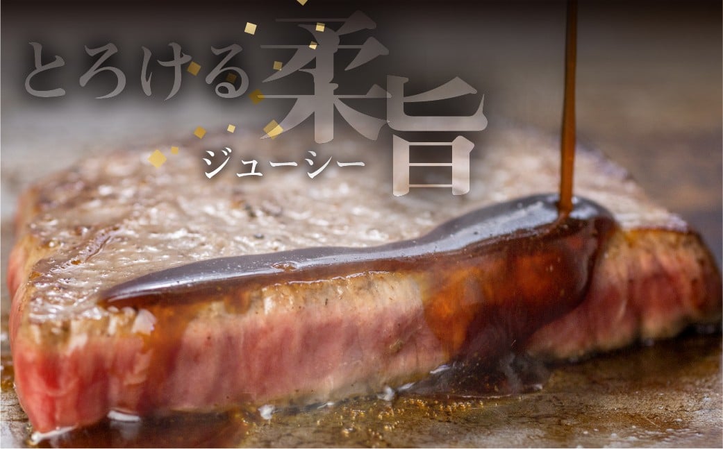 飛騨牛 赤身ステーキ 和牛 ステーキ 肉 国産 熨斗掛け リニューアル！冷凍発送