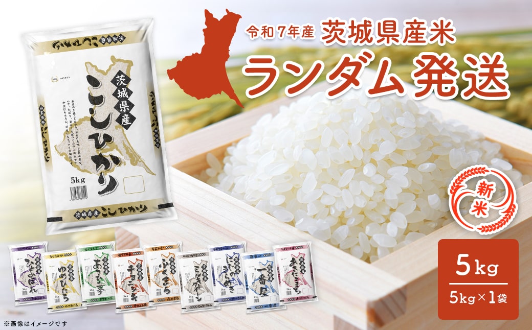 【新米予約開始!!】※ランダム※  令和7年産 茨城県産 【白米】 5kg ＜令和7年9月内発送＞ 新米 米 精米 小分け 2025年産 K2464