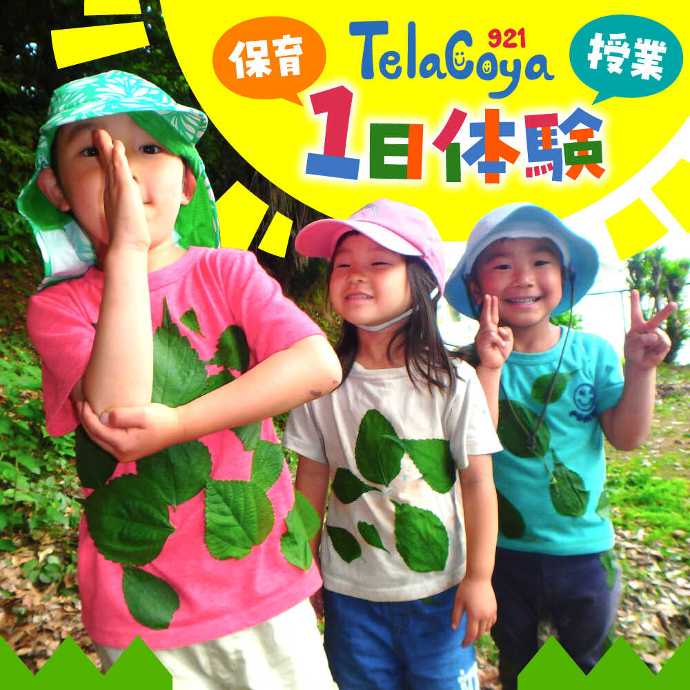 【ふるさと納税】Telacoya921　保育or授業　1日体験 チケット 体験 学校 子ども こども 小学校 アクティビティ自然 葉山 神奈川 【一般社団法人Telacoya921】[ASBX001]