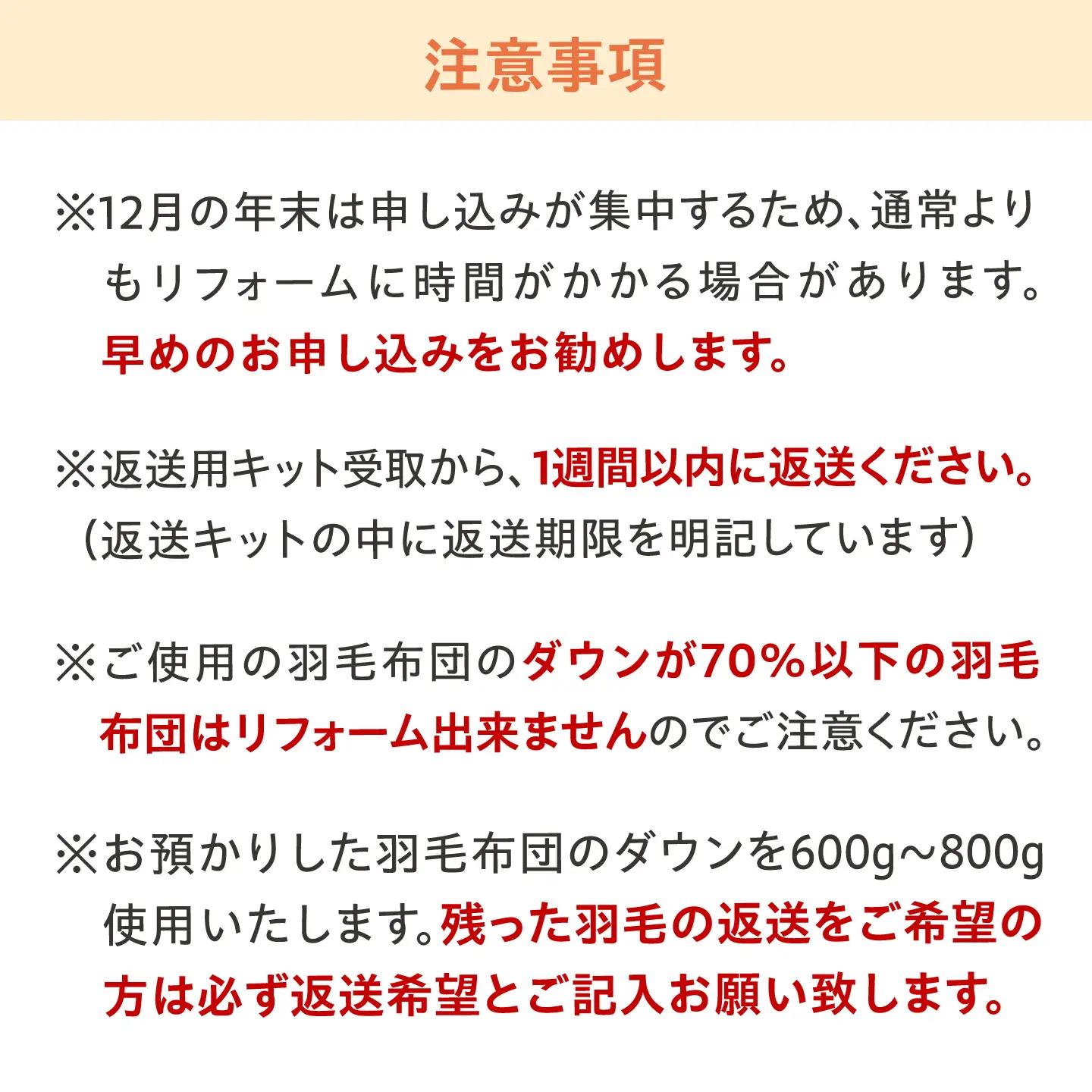 リフォーム券 羽毛布団を羽毛寝袋に！ Reリーブダウンシュラフ 【シルバー】　[BAAK079]布団リフォーム