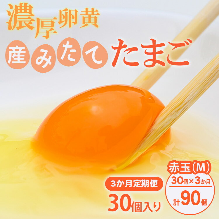 【ふるさと納税】【定期便 3ヶ月】小久保ファーム 濃厚卵黄 産みたてたまご 赤玉30個入り（M玉）｜ 定期便 3カ月 3回 卵 30個 赤玉 玉子 たまご タマゴ 生卵 鶏卵 産みたて 新鮮 濃厚 健康 国産 ギフト 贈答 贈り物 お中元 お歳暮 プレゼント 農家直送 _EI04
