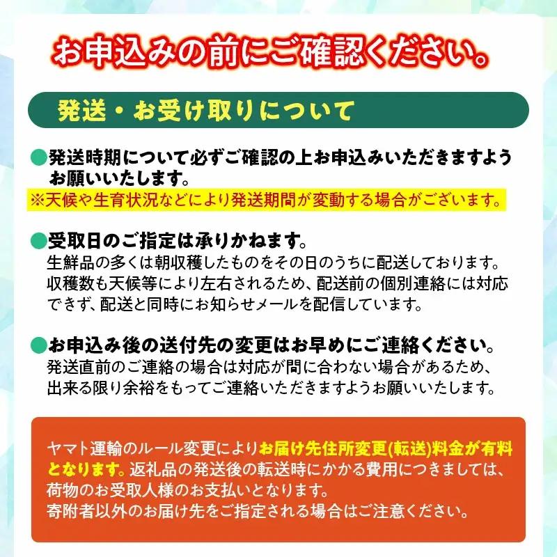 【令和8年産先行予約】 山形県鶴岡産 だだちゃ豆　約1.5kg（250g×6袋） 枝豆　三浦農産