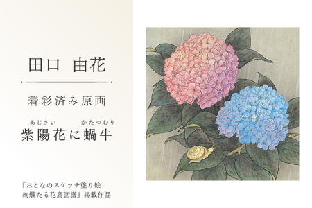 田口由花　着彩済み原画「紫陽花に蝸牛（あじさいにかたつむり）」（『おとなのスケッチ塗り絵　絢爛たる花鳥図譜』掲載作品）【0109-002-5】色鉛筆画 日本画 絵画 ｲﾝﾃﾘｱ 原画 芸術品 美術品