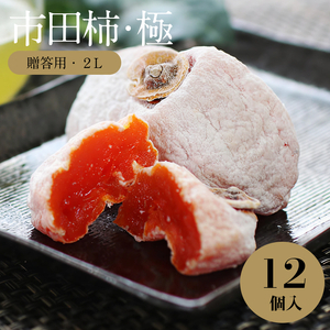 信州 特産品 市田柿 極 贈答用 2Lサイズ 12個入 〈2027年1月中旬～2月下旬発送〉|長野県 飯田市