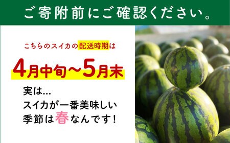 【先行予約】 【数量限定】大玉スイカ 約7kg以上（1玉） 【とみおか農園】[ZEM004]