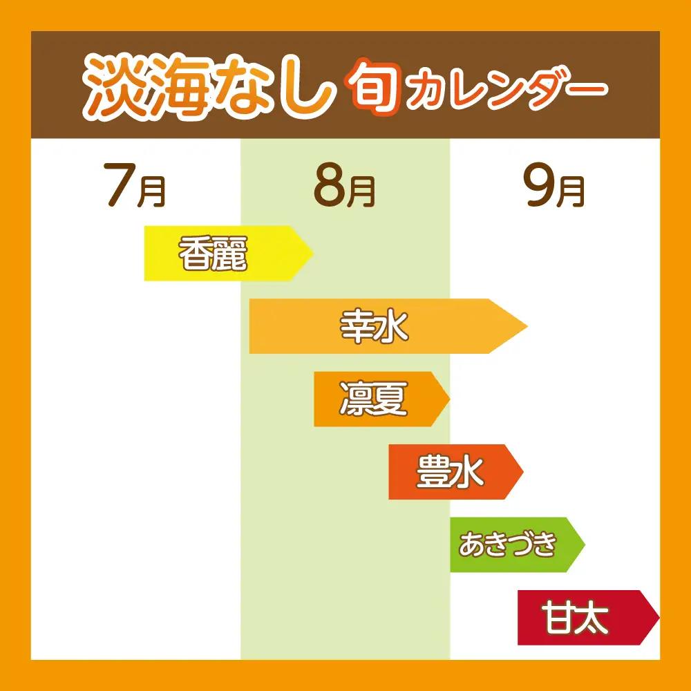 【先行予約】【数量限定】淡海なし　秋月　3kg箱入り（サイズ：2L～7L　5～10個入り）【K130W】 スイーツ 果物