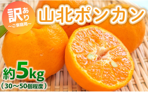
            ぽんかん 訳あり 5kg(約30～50個程度) わけあり 山北ポンカン - 果物 フルーツ 柑橘類 ぽんかん ミカン 蜜柑 訳アリ わけあり 生産者応援 甘い おいしい 美味しい 山北みらい 高知県 yk-0051
          