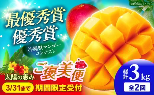 マンゴー 【全2回定期便】 太陽の恵み マンゴーご褒美便 (総計3kg) 仲村農園 [BCZZ052] 2026 定期便 全2回 アップルマンゴー あっぷるまんごー マンゴー フルーツ ふるーつ まんごー くだもの 果物 mango 果実 訳アリ わけあり ワケあり ワケアリ 沖縄県産 芒果 家庭用 南国 国産 デザート 産地直送 直送 季節限定  国産 お取り寄せ 送料無料 沖縄 沖縄市