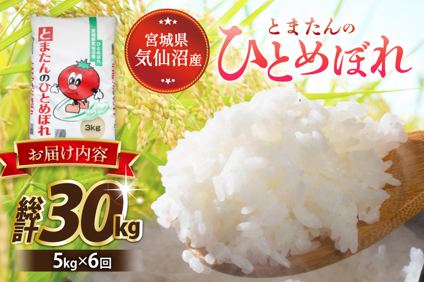 6回 定期便 米 宮城県産 とまたんのひとめぼれ 5kg 総計30kg [サンフレッシュ小泉農園 宮城県 気仙沼市 20566085] ひとめぼれ ブランド米 白米 精米 ご飯 ごはん コメ こめ お