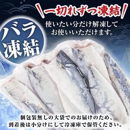 国産無塩さば　フィーレ・フィレ　3kg　無添加【配送不可地域：離島】【1722186】