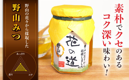 【先行受付 令和6年7月より発送】巣みつ・野山みつセット 合計440g　広川町 / 株式会社九州蜂の子本舗[AFAI002]