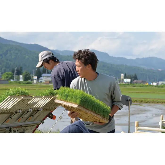 【令和7年】関智晴がつくる南魚沼塩沢産コシヒカリ20kg（5kg×4個） 8割減農薬栽培米 | コシヒカリ