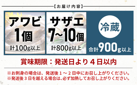 【期間限定】天然！活アワビ ＆ 活サザエ セットA【2024年6月20日から2024年8月10日まで発送】【産地直送 刺身 お造り おせち バター焼き BBQ あわび 鮑 サザエ さざえ 貝 砂抜き済