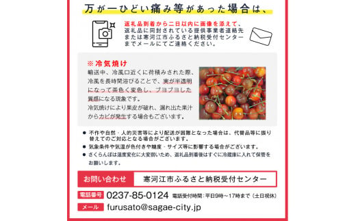 さくらんぼ 「やまがた紅王」3Lサイズ以上 秀品 30粒（約270g）化粧箱入り 【2025年6月中旬頃〜7月上旬頃発送予定】／ 2025年産 令和7年産 山形産 山形県産 お取り寄せ グルメ フルー