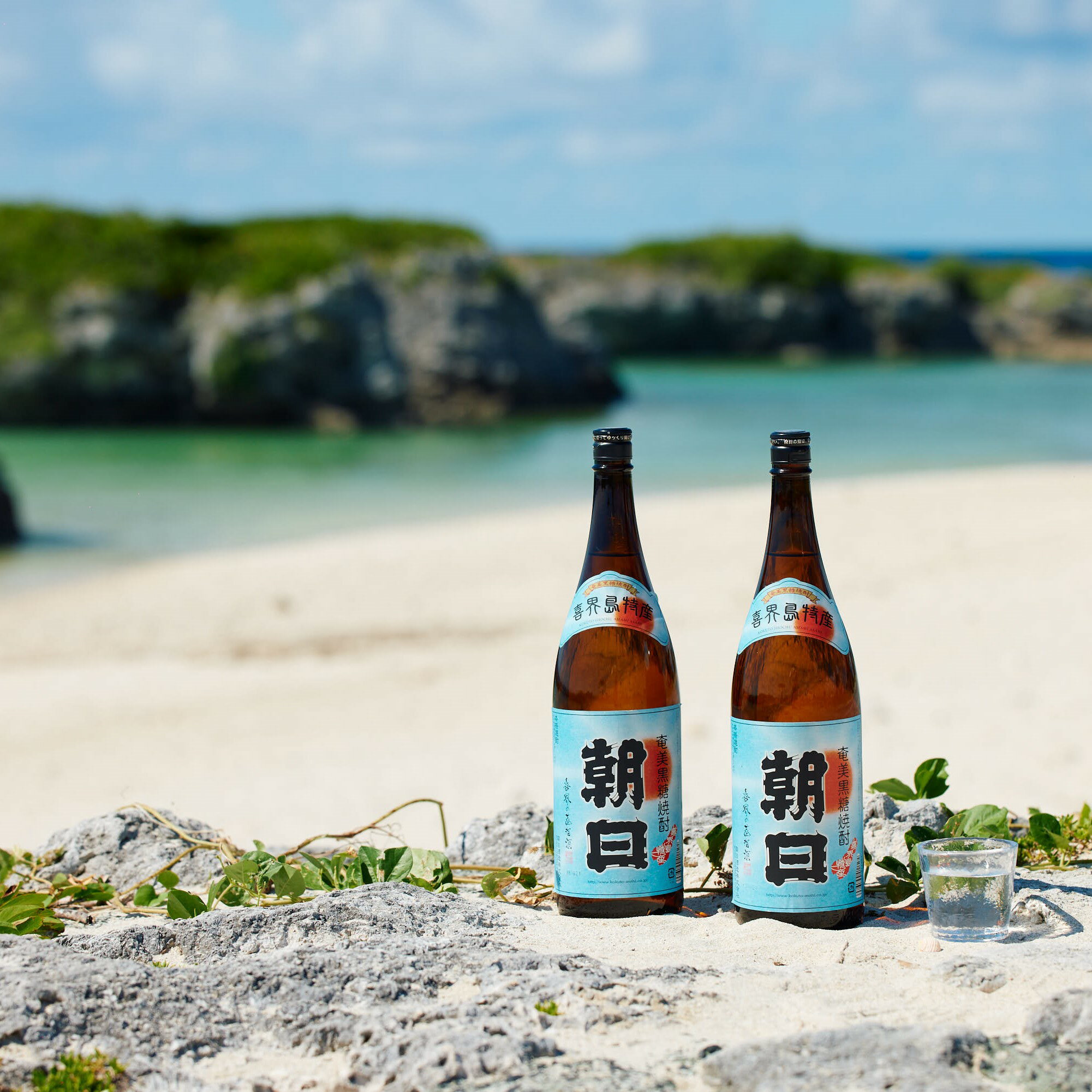 【ふるさと納税】【黒糖焼酎】朝日(30度)　一升瓶(1800ml)×2本【朝日酒造】