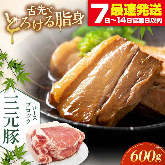 【ふるさと納税】平田牧場 ロースブロック 600g《喜茂別町》【平田牧場】 肉 豚肉 ロース ブロック ローストポーク 煮豚 酢豚 煮物 冷凍配送 北海道 平田牧場 三元豚 [AJAP070] 10000 10000円 1万円