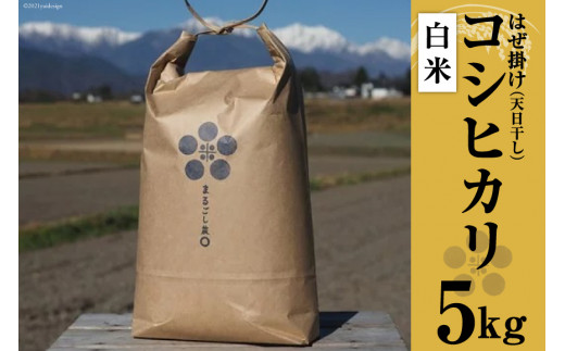 米 令和7年 栽培期間中農薬・化学肥料不使用 はぜ掛け 天日干し コシヒカリ 白米 5kg [まるごし農園 長野県 池田町 48110700]