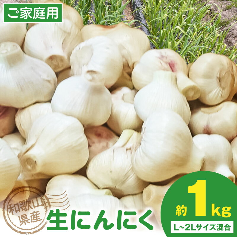 【ふるさと納税】【先行予約】 和歌山県産 生にんにく 約1kg ご家庭用 訳あり L～2L サイズ混合 割れなし玉 割れあり玉 4月下旬～5月中旬お届け 焼にんにく 黒にんにく パスタ 焼き物 煮物 フレッシュな食感 風味 和歌山県 湯浅町 送料無料