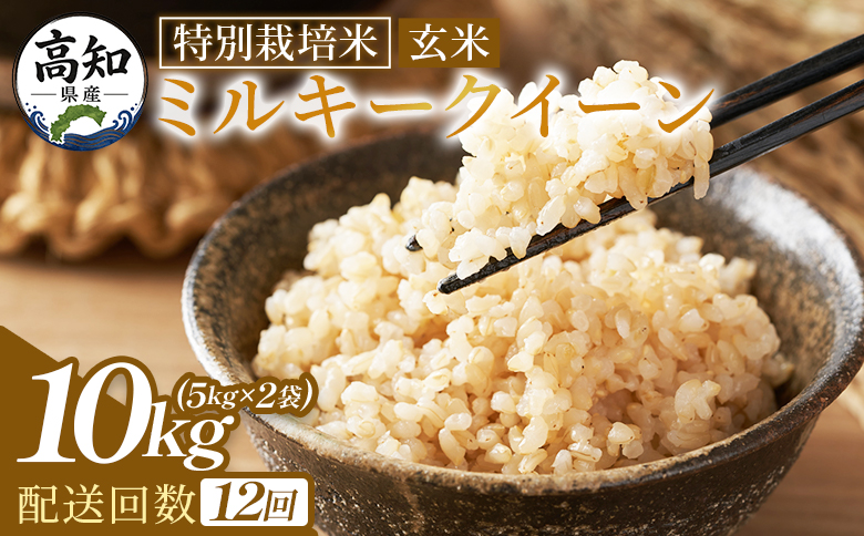 ミルキークイーン 玄米 10ｋｇ 【12回定期便】特別栽培米 令和８年産 - 定期便 国産 精米 米 お米 ご飯 ごはん おにぎり おむすび 炊き込みご飯 高知県 香南市 常温 Wsr-0016