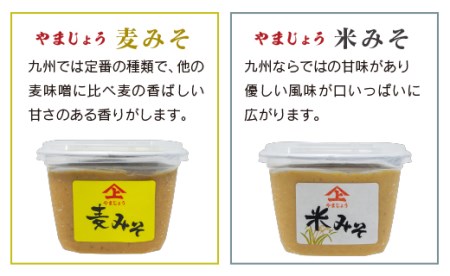 「１００年以上の歴史」徳山みそ・しょうゆ醸造場 ３種の味噌３個セット【A155】