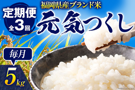 【3ヶ月 定期便】 元気つくし 合計15kg 5kg×3回 白米 お米 ご飯 米 精米 送料無料 お取り寄せグルメ お取り寄せ 福岡 お土産 九州 福岡土産 取り寄せ グルメ 福岡県