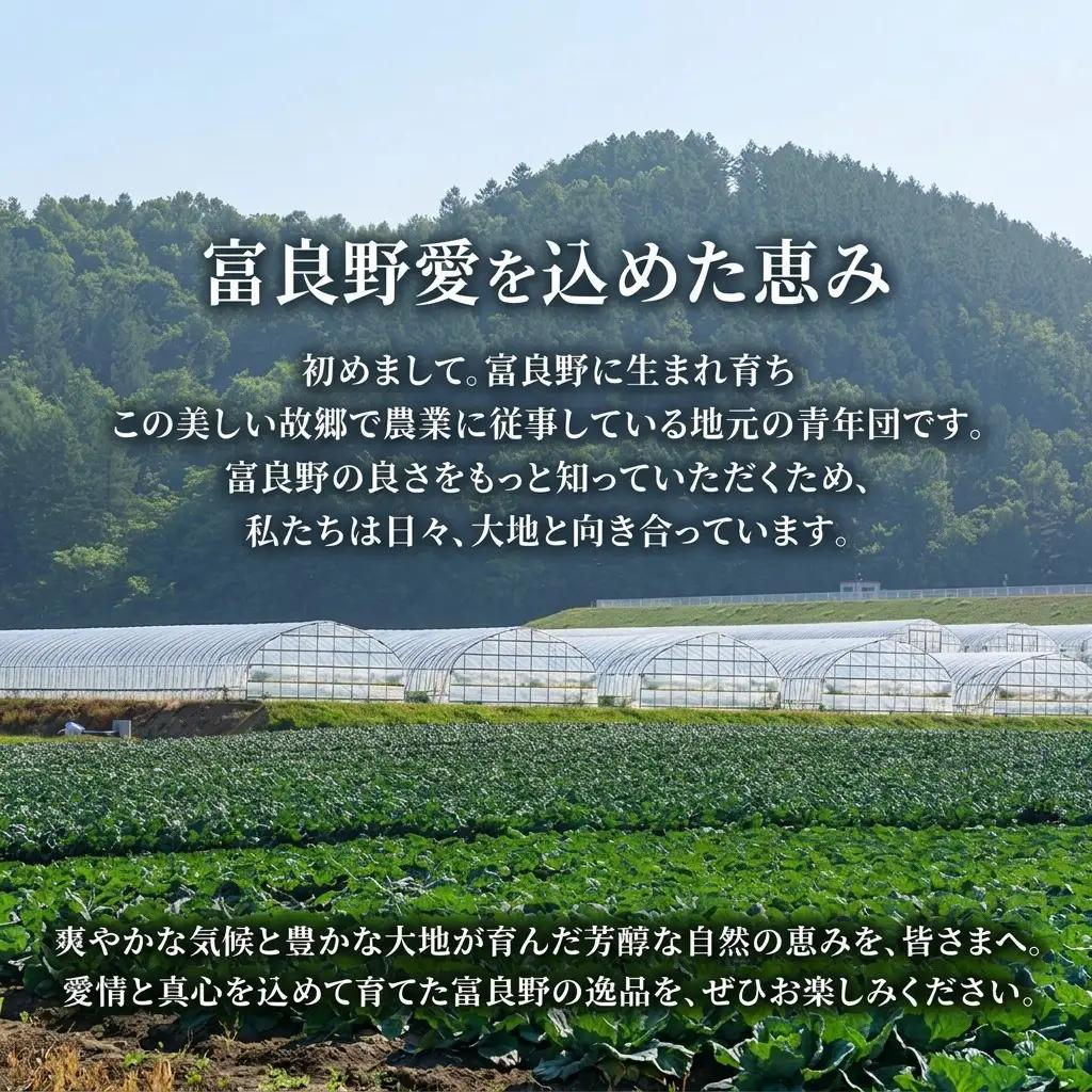 2027年夏発送 富良野 メロン キングルビー 秀大2玉 計4kg以上 赤肉