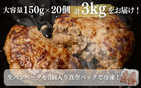 【R7.10月発送】淡路島玉ねぎ入れすぎハンバーグ ３kg（150ｇ×20個） 冷凍