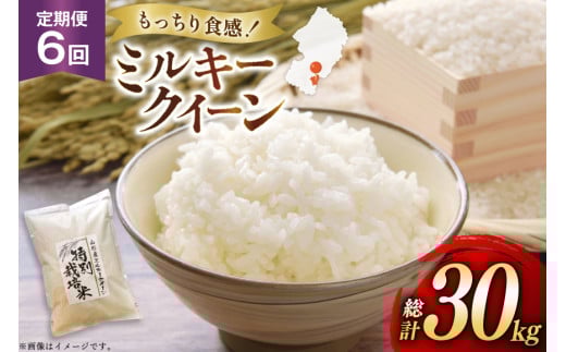 米 定期便 6回 令和7年産 特別栽培米 ミルキークイーン 5kg 6回 計30kg [渡部ファーム 山形県 高畠町 tk06ays810009] お米 白米 精米 ごはん ご飯 ブランド米