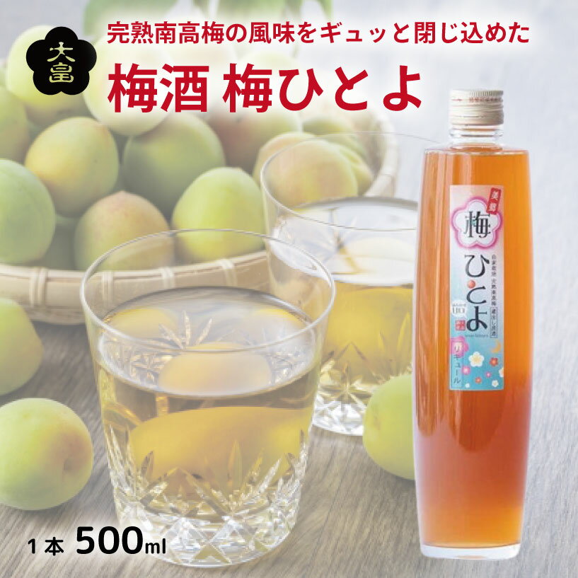 【ふるさと納税】 梅酒 梅ひとよ 500ml 1本 梅 南高梅 3年熟成 うめ 果物 フルーツ うめしゅ お酒 酒 果実酒 さけ ビール ハイボール チューハイ 焼酎 日本酒 ウイスキー ワイン ギフト 贈答 プレゼント 送料無料 徳島県 吉野川市