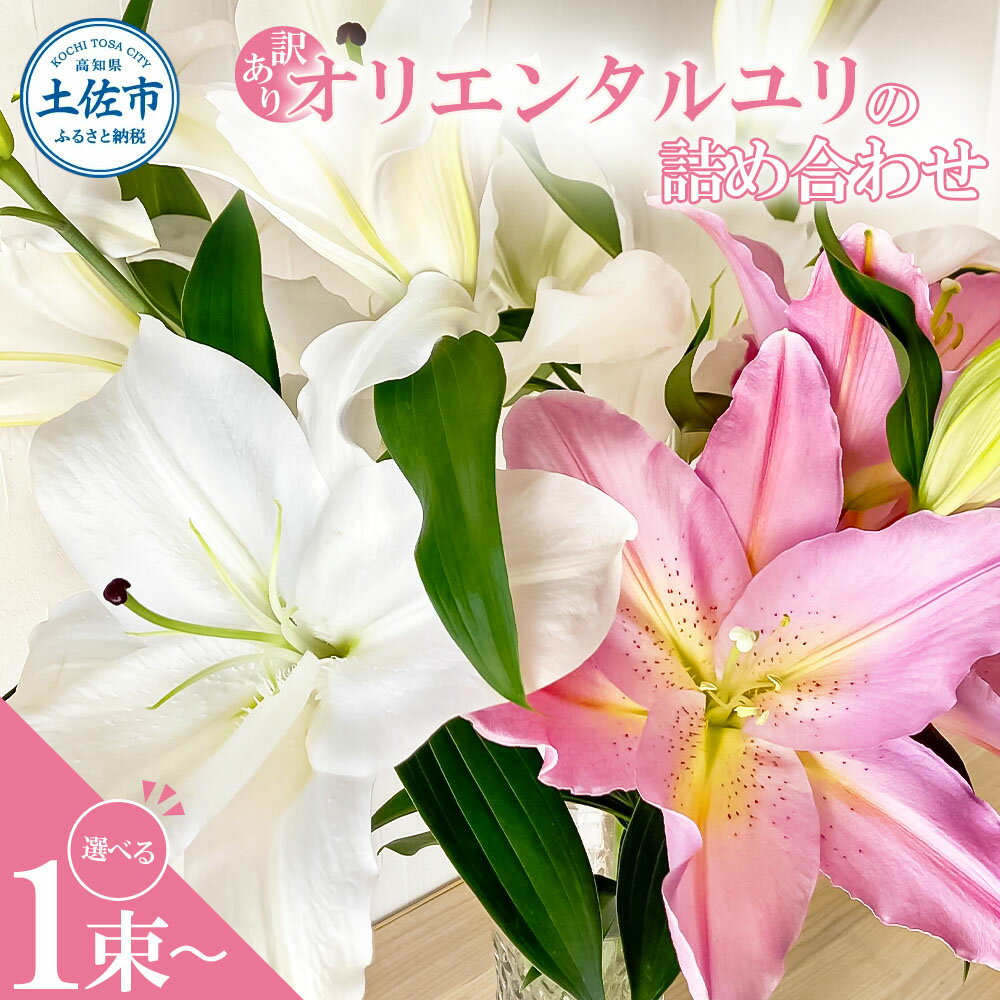 【ふるさと納税】訳あり オリエンタルユリの詰め合わせ 選べる1~2束(1束4～6本 15輪以上) 花 はな 花束 生花 ゆり 百合 蕾 つぼみ 鑑賞 鑑賞用 白百合 白ゆり 白ユリ 詰め合わせ 国産 家庭用 ご自宅用 常温 配送 高知県 高知 土佐市 ふるさとのうぜい 故郷納税 返礼品