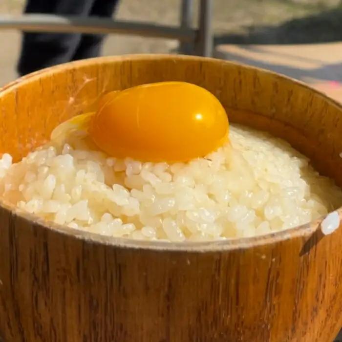 信州さらしな 放飼養鶏！3種の有精卵 詰め合わせセット S|卵