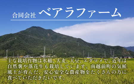 【6ヶ月連続お届け】【令和5年産】南条米 特別栽培米コシヒカリ 真空パック 10kg(5kg×2袋)×6ヶ月 (計60kg)[I-011001]