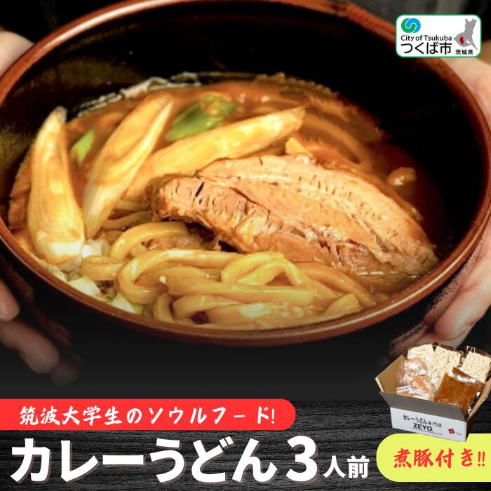【ふるさと納税】筑波大学生のソウルフード！ZEYO.のカレーうどん 3人前(煮豚付き) | 茨城県 つくば市 簡単 レトルト 豚肉 お家ごはん おいしい 国内製造 大学生考案 中太平打うどん スパイス カレースープ 1256266