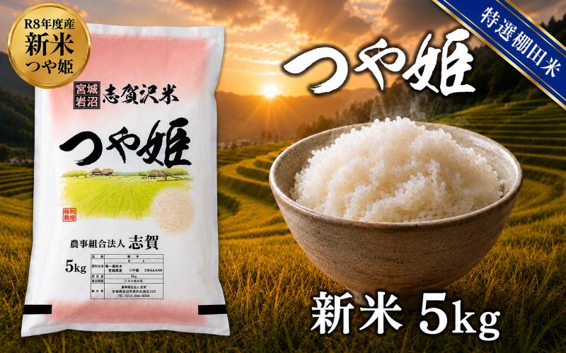 
                  【 令和8年産 】新米 特選棚田米 つや姫 [選べる容量/回数] おこめ お米 白米 精米 コメ ライス ごはん ご飯 国産米 棚田米 ブランド米 特A ツヤ もちもち 高級 おべんとう 弁当 おにぎり 甘み コク 食味 毎日の食卓 冷めてもおいしい 志賀沢米 岩沼産米
                