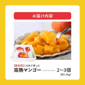 くるめで育った完熟マンゴー(2～3個：約1.3kg)