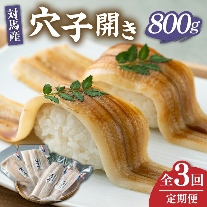 【ふるさと納税】【全3回定期便】対馬 アナゴ 穴子 開き 800g《対馬市》【海風商事】あなご 国産 九州 長崎 海産物 魚 [WAD029] 52000 52000円