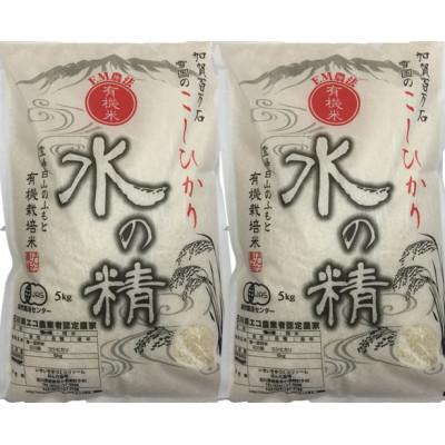 ふるさと納税 能美市 有機米こしひかり「水の精」白米 10kg (5kg×2袋)