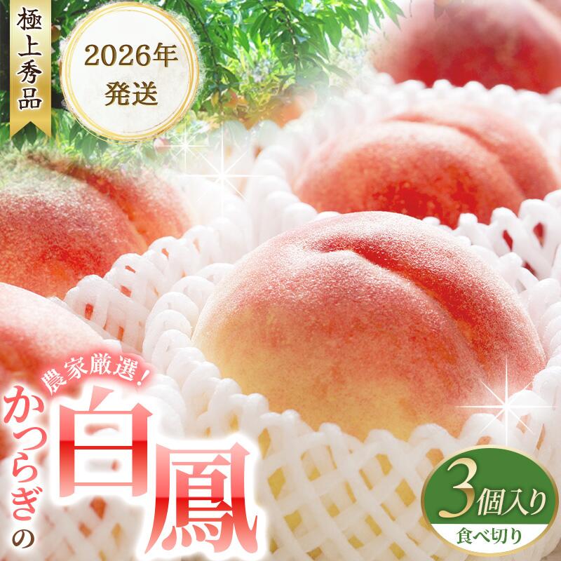 【ふるさと納税】 桃 白鳳 食べきりやすい3個入り ☆秀品☆【2026年6月末頃より順次発送】 桃の王様！ こだわり農家厳選 桃 もも モモ 果物 くだもの フルーツ 先行予約 白鳳 人気 和歌山の桃 贈答 贈り物 数量限定 お取り寄せ かつらぎ町 くしがきの里 送料無料 【KG17】