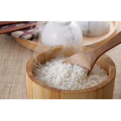 ふるさと納税 田村市 福島県産天のつぶ 5kg　【令和7年産】 |  | 01