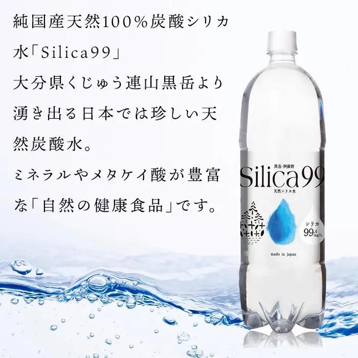 天然炭酸水Silica99　500ml×24本 | シリカ水