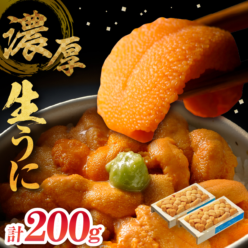 ≪氷温熟成≫生折うに(天然バフンウニ)　100g×2枚_H0009-102